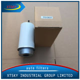 Chinese Manufacturer Heavy Duty Auto Fuel Filter (FS19837)