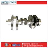 Crankshaft for Deutz Diesel Engine FL912/913