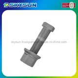 Truck Fastener 10.9 Grade Wheel Bolt for Actros (3094010271)