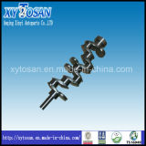 Cast Iron/Forged Steel for Toyota 2L 2lt 2L2 Engine Part Crankshaft (OEM 13401-54040 11101-54111)