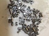 Repair Kits Ceramic Ball F00vc05009 for Common Rail Injector