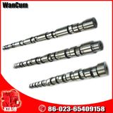 The Reasonable Price Cummins Diesel Engine Part Camshaft