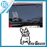 Customized Removable Sticker Designs for Cars