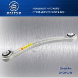 Auto Front Rear Axle Upper Control Arm for Mercedes Benz China Famous OEM Supplier