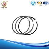 Quality Single Cylinder Diesel Engine Parts Piston Ring