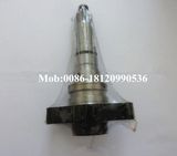 Diesel Engine Parts PS7100 Fuel Pump Element/Plunger 2 418 455 129