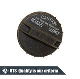 Spare Parts Auto Parts Fuel Tank Screw Cap for Chevrolet