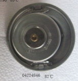 Thermostat for Engine Bfm1013