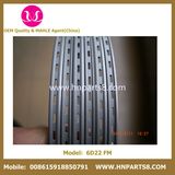 Engine Parts 6D22t Piston Ring 130mm Ring for Mitsubishi