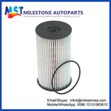 Auto Spare Part 3c0127434, 3c0127177 Fuel Filter for Skoda
