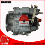 Commins Engine Fuel Pump for Nt855, Kta19, Kta38 and Kta50