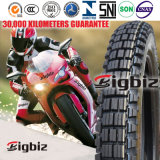 Big Factory Wholesale Complete Model Motorcycle Tire