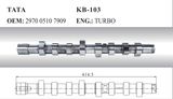 Auto Camshaft for Tata (2970 0510 7909)