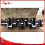 Cummins Crankshaft (5261376) for Cummins Bfcec Engine Isf