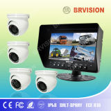 Color Quad Video Screen with CCTV Dome Camera