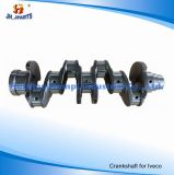 Auto Parts Crankshaft for Iveco 2.8L 2.5L 8140-27 500314784 500314779