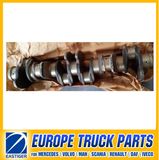 51021010673 Crankshaft Engine D2066 for Mercedes Benz