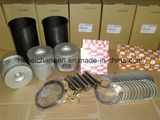 Engine Piston for Chana, Higer, Yutong, Kinglong Bus