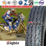 Radial Tyre in China Factory Direct Sales Motorcycle Tyre.
