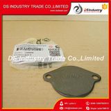 Cummins Diesel Engine Part Flywheel Cover Plate 3908095