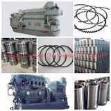 Man K50mc K50me K60mc K60me Engine Parts Cylinder Liner