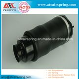 Auto Parts Front Position Air Suspension Spring for W251 R Class 2513203113