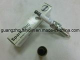 Wholesale Genuine Ngk Spark Plug Dilkar6a for Nissans X-Trail 22401-Ja01b