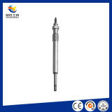Ignition System High Quality Diesel Engine Requires Glow Plug