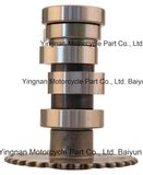 Motorcycle Parts Motorcycle High Quality Cam (GY6-125 KCW125 CB-125 BIZ-125 CT-100 AX4-125 MIO BIZ-100)