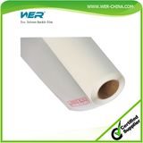 Best Supplier Eco Solvent Backlit Film