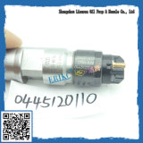 0445120110 Bosch Common Rail Injector 0445 120 110 Bosch Fuel Injector 0 445 120 110