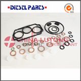 Ve Pump Gasket for Isuzu-Repair Kits OEM 146600-1120