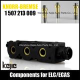 Ecas Elc Solenoid Valve Coil 1507213009 for Truck