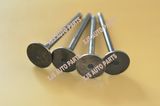 JAC Lj11kaab+76002412 Exhaust Valve 1003011fa