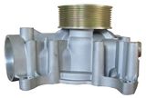 Water Pump for TCD2013