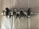 Engine Parts OEM 23111-42020 23111-42003 Crankshaft for Mitsubishi 4D56