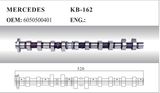 Auto Camshaft for Mercedes (6050500401)