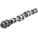 Auto Camshaft for Peugeot XUD7 XUD9 (0801. E8)