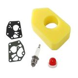 Carburetor Diaphragm Gasket Air Filter for Briggs and Stratton 495770 795083 698369