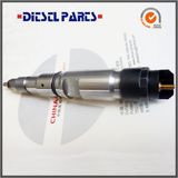 Common Rail Injector Bosch Diesel Fuel Injector Replacement