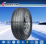 Hot Sale Winter Snow PCR Tire in Europe