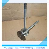 Changan Bus Inlet Exhaust Valve