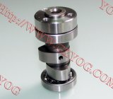 Motorcycle Parts Camshaft for Jh70 Best Camshaft for Other 70cc