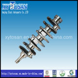Cast Iron & Forged Steel Crankshaft for Benz Om442 Om422 (OEM 4420304301, 4420303701)