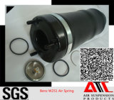 Factory Offer Car Air Shock Absorber for Mercedes W251 Front