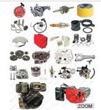 Spare Parts for Man Truck Diesel Engine and Related Parts