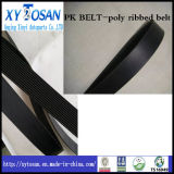 Pk Belt for All Models with Best Quality