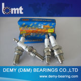 Supplier OEM Automobile, Motorcycle and Small Engine Spark Plug