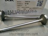 Exhaust Valve Auto Part for Cummins