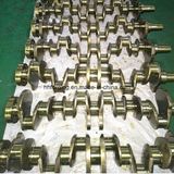 Shangchai Diesel Engine Crankshaft C6121